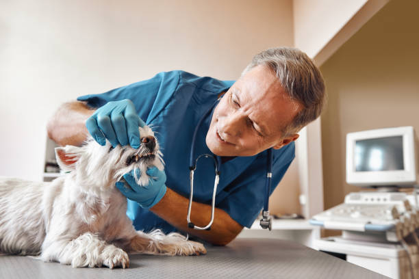 Best Emergency Dental Care for Abscessed Tooth in Lakeview Estates, GA